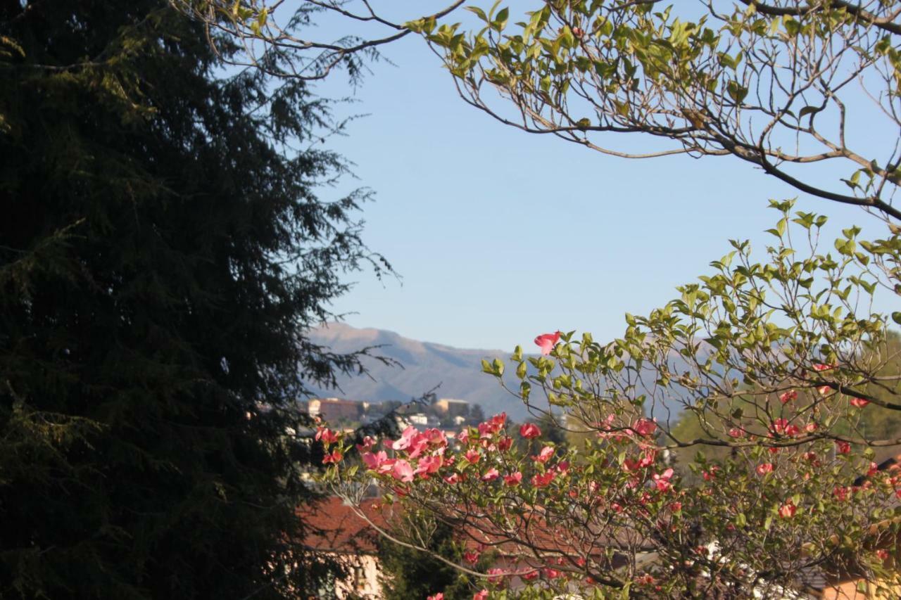 Villa Onorina Carimate Exterior foto